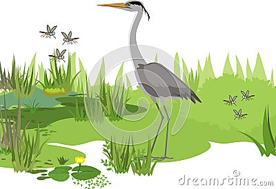 Grey heron Ardea cinerea, flying mosquitoes and abstract marsh landscape Vector Illustration